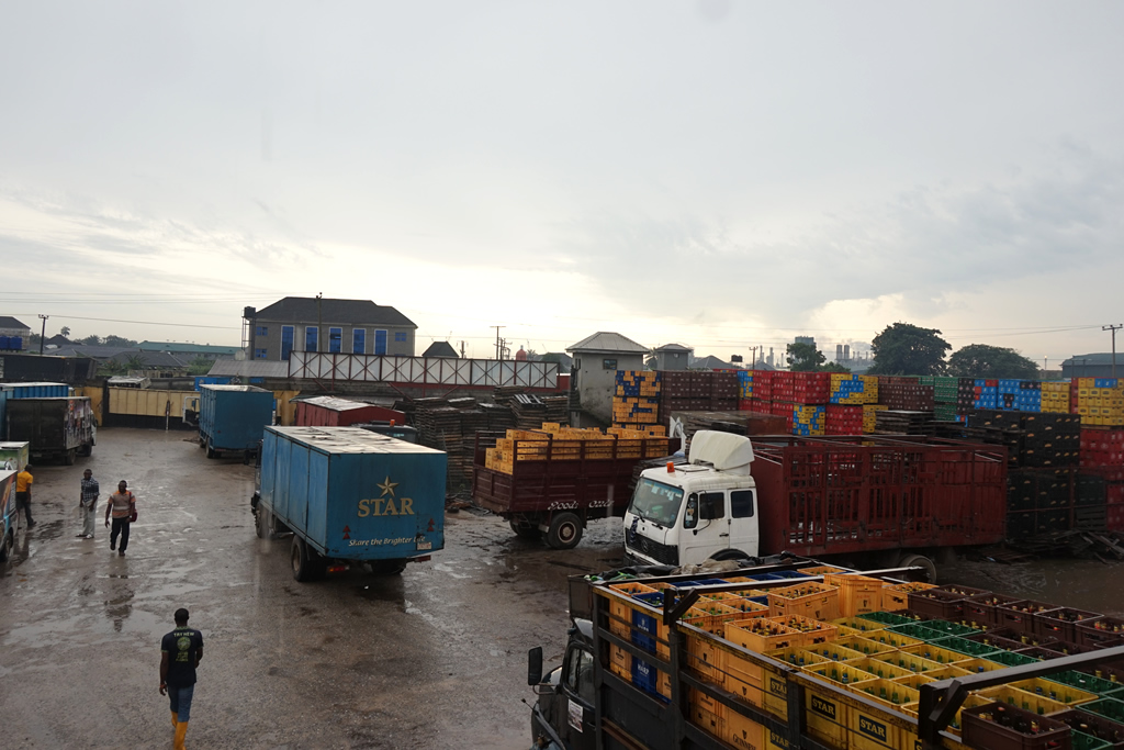 Your Image Description